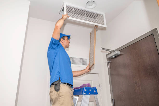 Air Duct Mold Removal in Dublin, TX